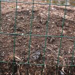 Kompost od potrošenog gljivarskog supstrata
