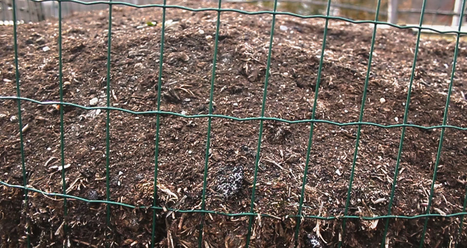 Kako kompostirati [video]
